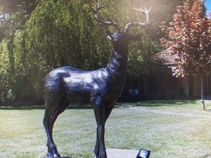 Supporting image for story: Bronze stag statue stolen from near Bridgnorth