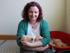 Supporting image for story: Birmingham midwife becomes volunteer puppy midwife