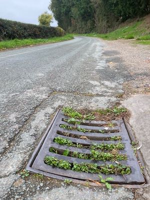 Blocked drains are needing attention. Picture: Chris Naylor