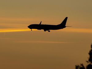 Supporting image for story: Plane nut ban announcements are unlikely to be effective, study says