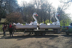 Supporting image for story: Pedalos mark start of Spring at Walsall Arboretum