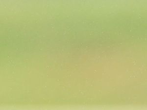 Supporting image for story: England's Lauren James carving out World Cup legacy