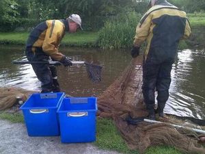 Supporting image for story: Investigation as hundreds of fish found dead in canal