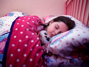 Supporting image for story: Scientists discover how sleep boosts the immune system