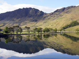 Supporting image for story: Rapid review of environmental plans aim to ‘save nature’ – minister