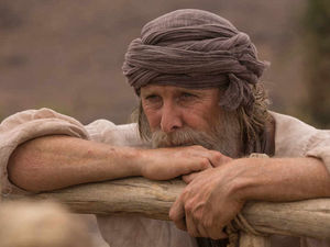 Supporting image for story: An Ark built of what?