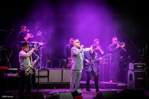 Suggs still holds such stage presence after so many years. Photo: Dave Cox