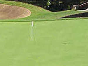 Supporting image for story: Farr finishes with a flourish