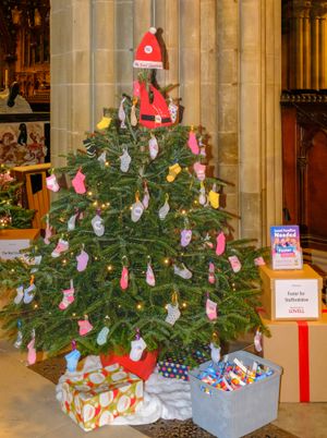 Foster for Staffordshire won the Business Tree category. Photo: Phil Barnes