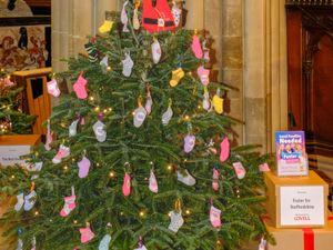 Supporting image for story: Creative and dazzling displays celebrated as Lichfield Cathedral names winners of festive tree competition