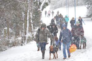 The snow didn't deter people from attending Crufts at the NEC, Birmingham.
