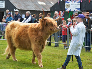 Supporting image for story: SPH Plant Ltd join sponsor partners of Shropshire County Show 