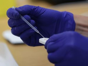 Supporting image for story