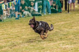 Archer has a long history of discovering imporant hidden evidence and tracking down suspects