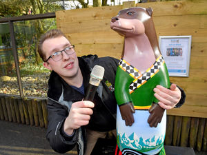 Supporting image for story: Colourful otter sculptures hit the road to go on display around Dudley 