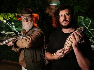 Supporting image for story: WATCH: TV reptile expert Mark O'Shea to star at Telford zoo for Halloween 