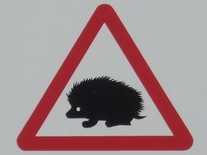 Supporting image for story: New signs to prick conscience of drivers on dangers for hedgehogs