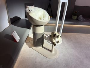 Supporting image for story: The weird and wonderful gadgets of CES 2025