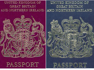 Supporting image for story: Peter Rhodes on finding Mr Okayish, scum in cyberspace and why we shouldn't be beastly to the Russians