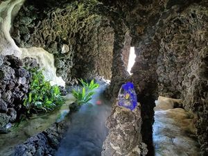 Cwm Weeg is a 2½ acre garden set within 24 acres of wildflower meadows and bluebell woodland with stream centred around C15 farmhouse