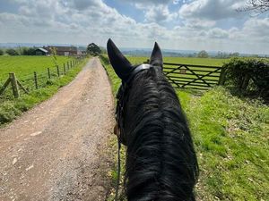 Supporting image for story: Shropshire takes a top spot in UK’s best travel destinations