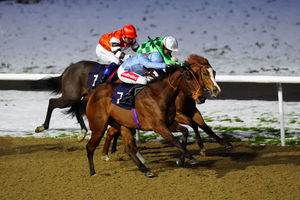 Saffron Dandy ridden by Sean Levey on their way to winning the Bet 10 Get 40 With BetMGM Handicap at Wolverhampton Racecourse. Picture date: Tuesday January 6, 2026. PA Photo. Photo credit should read: David Davies/PA Wire.RESTRICTIONS: Use subject to restrictions. Editorial use only, no commercial use without prior consent from rights holder.