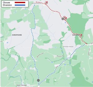 The C4226 from Bagginswood to Baveney Wood, near Stottesdon is to be resurfaced in June. Picture: Shropshire Council.