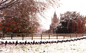 Tong Church with leaves and snow - Caron Malcolm
