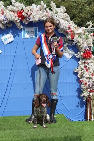 Wings and Paws rescue raised £4,590 at their funday on Sunday. Photo: Jayne at Coven Photography.