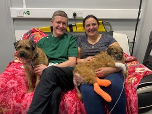 Supporting image for story: Miracle dog Freda frees herself after being stuck underground for 12 days 