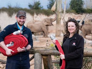 Supporting image for story: Vauxhall’s Ellesmere Port factory donates 50 fire hoses to Chester Zoo