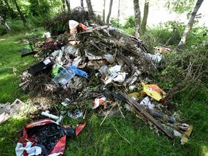 Supporting image for story: Travellers leave tip in West Bromwich woodlands