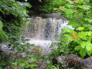 Supporting image for story: £2m upgrade at treatment plant to improve Much Wenlock water quality