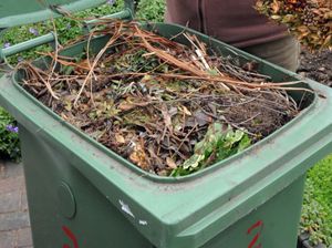 Supporting image for story: Green bin waste up 208 per cent as Telford residents take to lockdown gardening