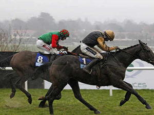 Supporting image for story: Ludlow National Hunt meeting in doubt over cold snap