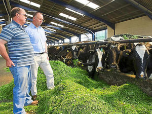 Supporting image for story: The daily struggle for Shropshire farmers in milk price row