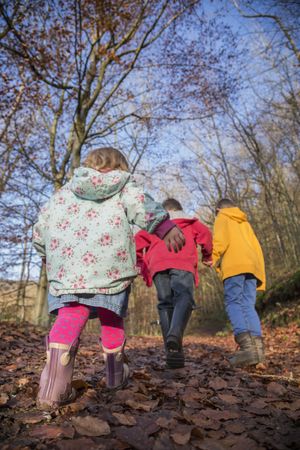 Supporting image for story