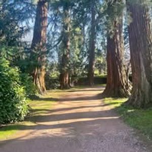 On Saturday 28th and Sunday 29th June experience the magic of Sunnycroft