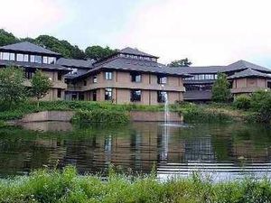 Supporting image for story: Council to bring back pest control services