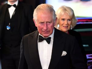 Supporting image for story: King to celebrate film and TV industry and meet stars at Gladiator II premiere