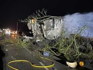 Supporting image for story: Shocking images show blaze which destroyed lorry following A489 crash