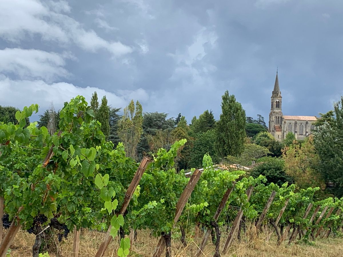 Joules Brewery completes latest purchase - historic French vineyard