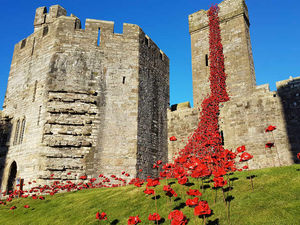 Supporting image for story: Chirk Castle may host Weeping Window poppies installation