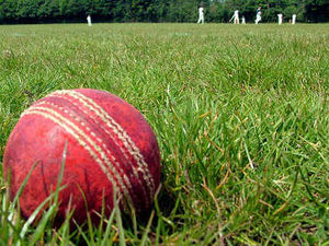Supporting image for story: Shropshire county cricket suffer batting collapse