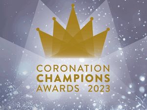 Supporting image for story: Residents invited to honour voluntary heroes with award