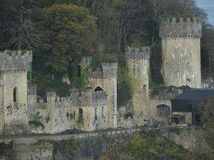 Supporting image for story: Wales’ First Minister wades into I’m A Celebrity controversy