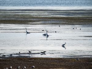 Supporting image for story: Bank Holiday temperatures to rise to near 30C before rain arrives