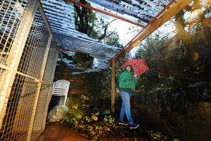 Jenny Martinez inspects the damage
