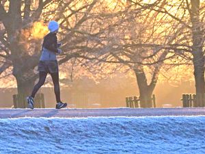 Supporting image for story: High fitness levels linked to reduced dementia chance among those at risk