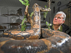 Supporting image for story: Pet snake is around forever
